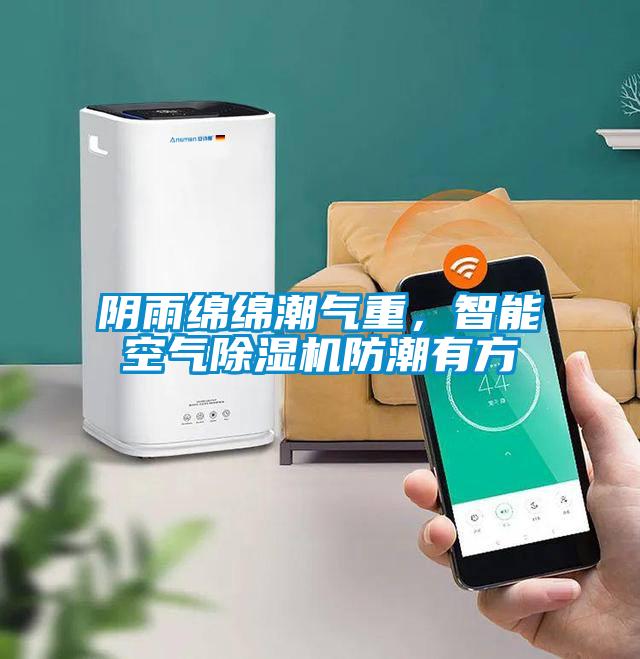 阴雨绵绵潮气重，智能空气除湿机防潮有方