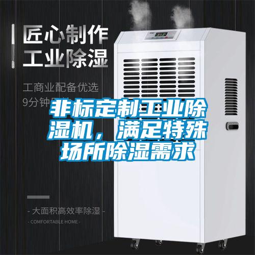 非标定制工业除湿机，满足特殊场所除湿需求
