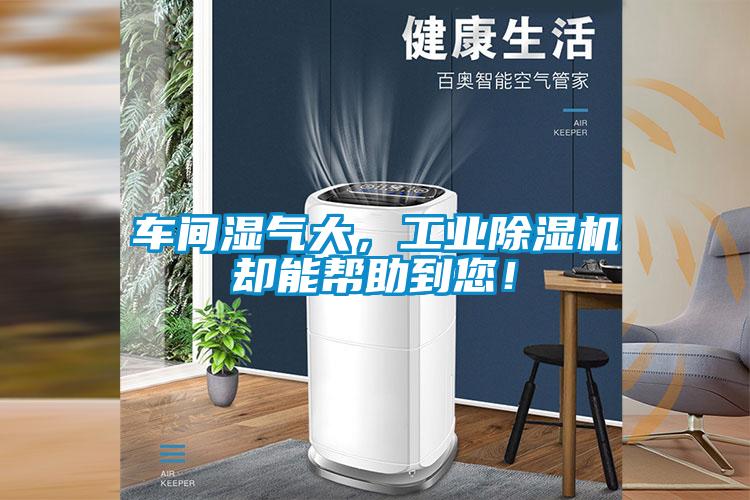 车间湿气大，工业除湿机却能帮助到您！