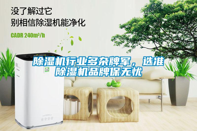 除湿机行业多杂牌军，选准除湿机品牌保无忧
