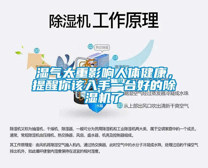 湿气太重影响人体健康，提醒你该入手一台好的除湿机了