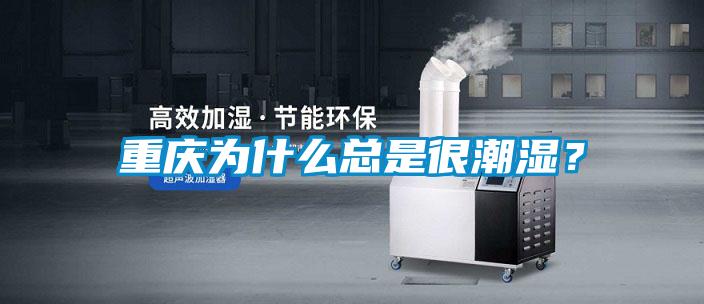 重庆为什么总是很潮湿？