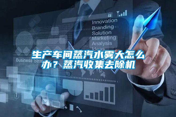 生产车间蒸汽水雾大怎么办？蒸汽收集去除机