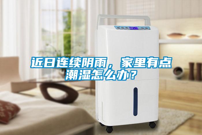 近日连续阴雨，家里有点潮湿怎么办？