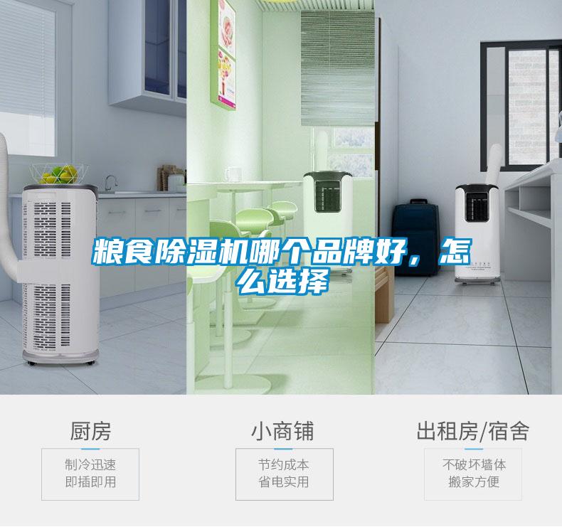 粮食除湿机哪个品牌好，怎么选择