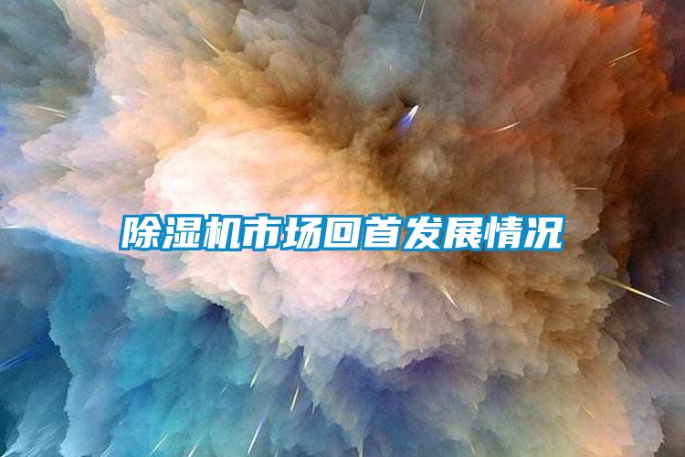 除湿机市场回首发展情况