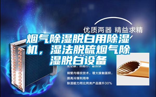 烟气除湿脱白用除湿机，湿法脱硫烟气除湿脱白设备