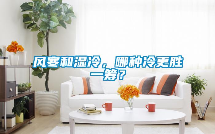 风寒和湿冷，哪种冷更胜一筹？