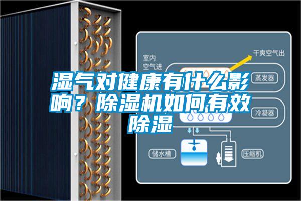 湿气对健康有什么影响？除湿机如何有效除湿