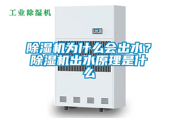 除湿机为什么会出水？除湿机出水原理是什么