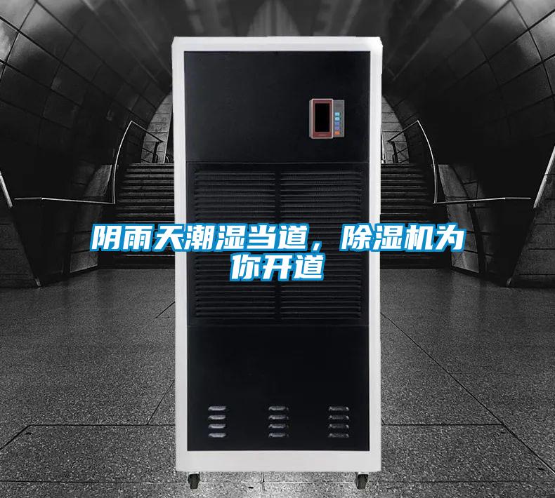 阴雨天潮湿当道，除湿机为你开道
