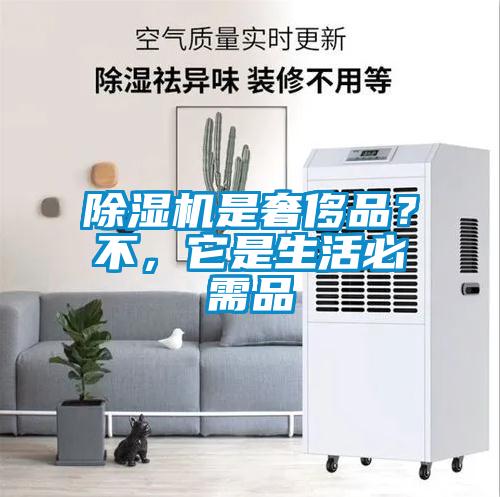 除湿机是奢侈品？不，它是生活必需品