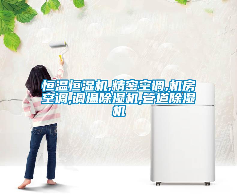 恒温恒湿机,精密空调,机房空调,调温除湿机,管道除湿机