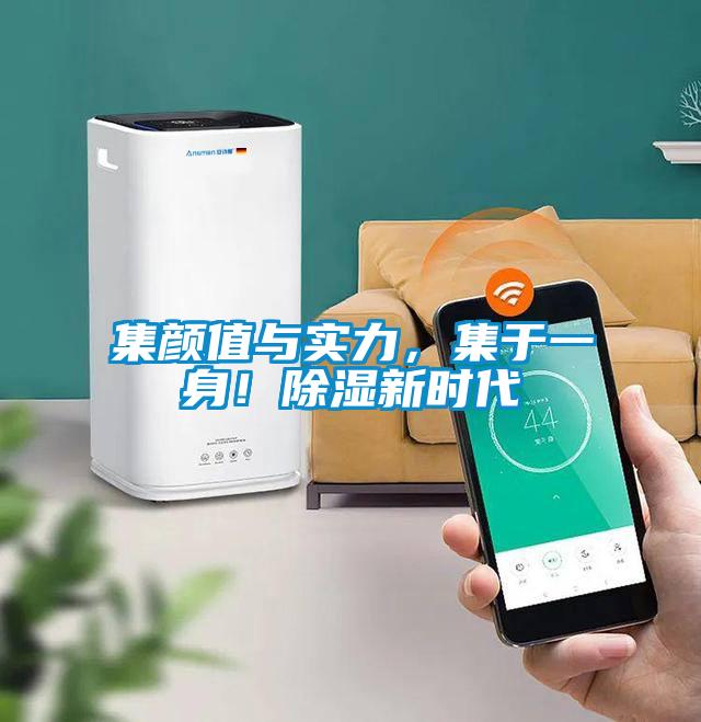 集颜值与实力，集于一身！除湿新时代