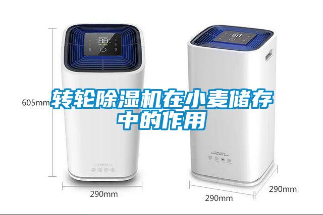 转轮除湿机在小麦储存中的作用