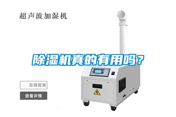 除湿机真的有用吗？