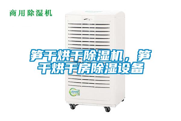 笋干烘干除湿机，笋干烘干房除湿设备