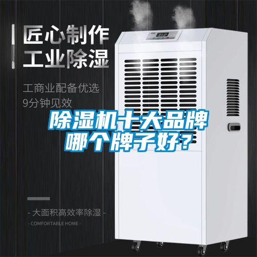 除湿机十大品牌哪个牌子好？