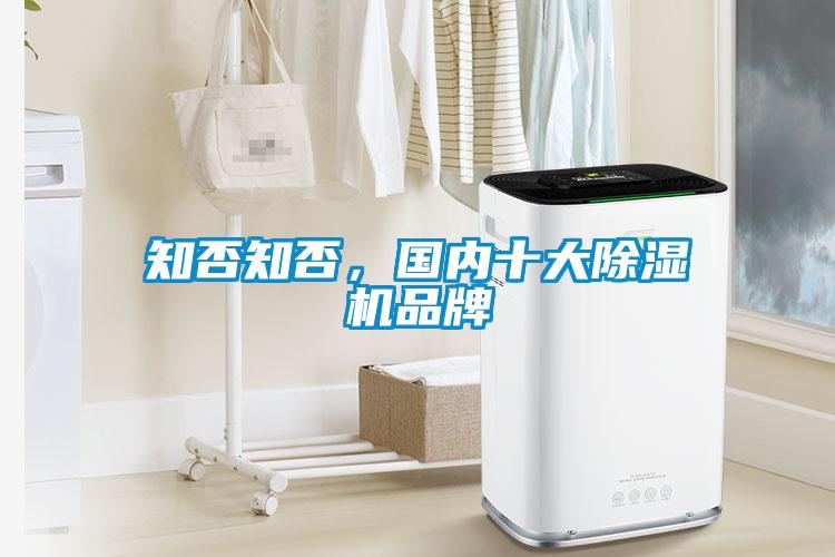 知否知否，国内十大除湿机品牌