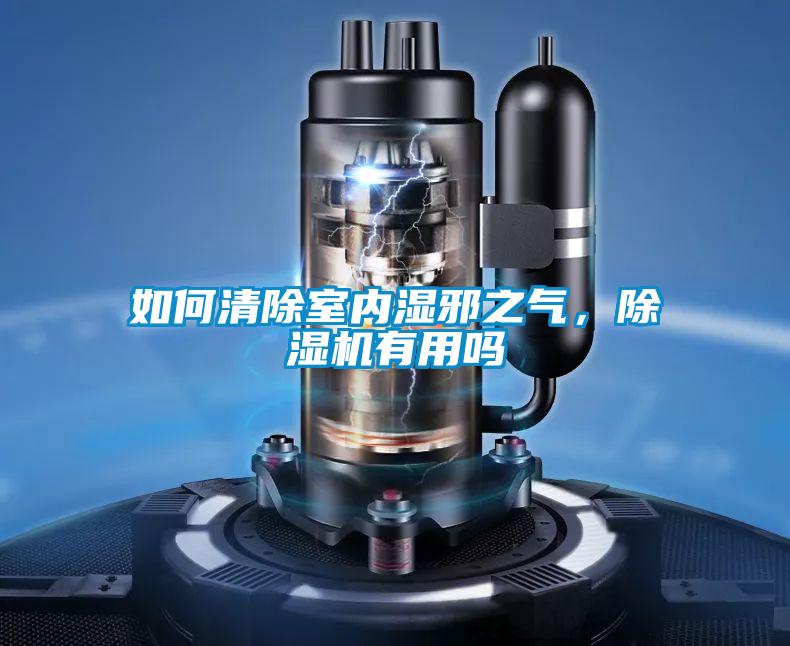如何清除室内湿邪之气，除湿机有用吗