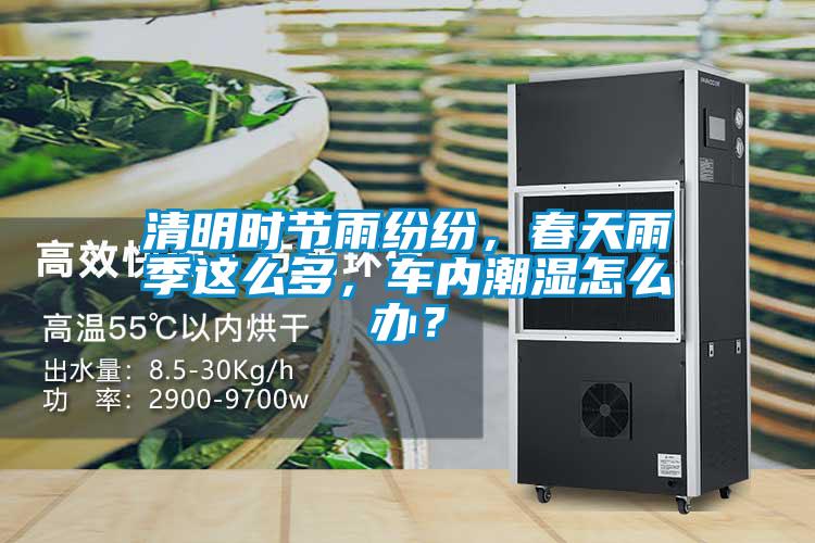 清明时节雨纷纷，春天雨季这么多，车内潮湿怎么办？