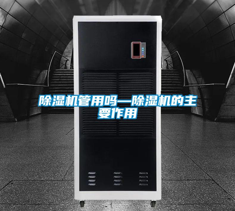 除湿机管用吗—除湿机的主要作用