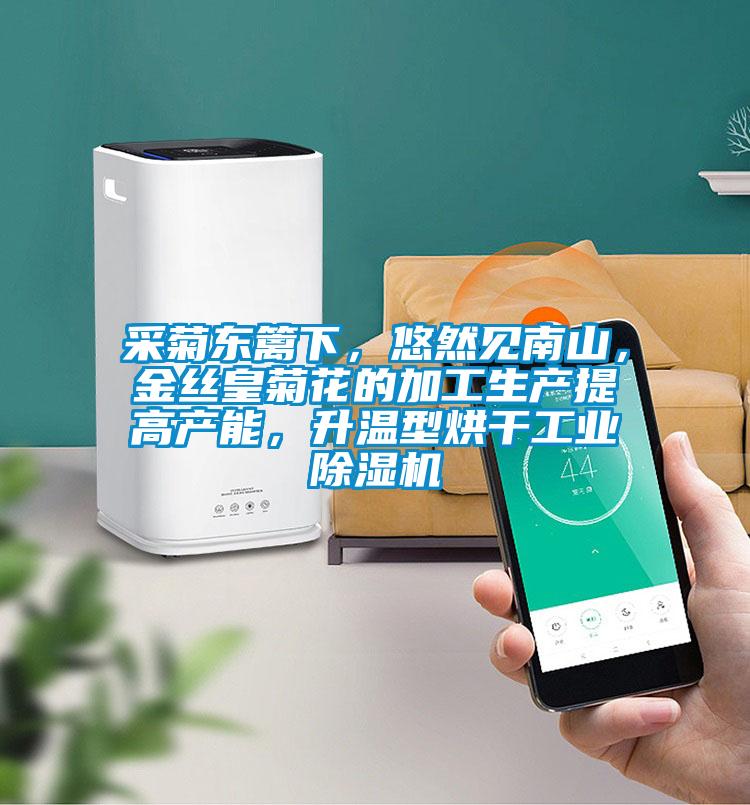 采菊东篱下，悠然见南山，金丝皇菊花的加工生产提高产能，升温型烘干工业除湿机