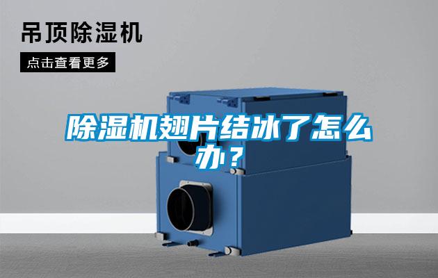 除湿机翅片结冰了怎么办？