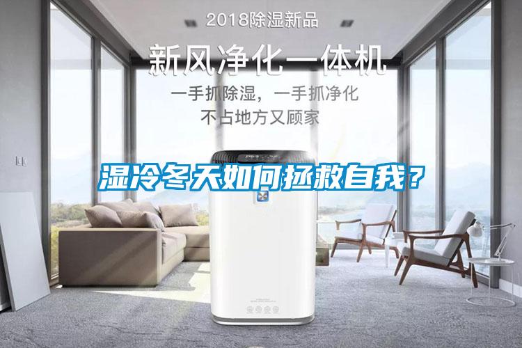 濕冷冬天如何拯救自我？