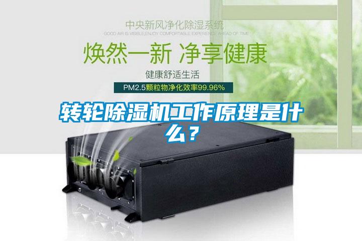 转轮除湿机工作原理是什么？