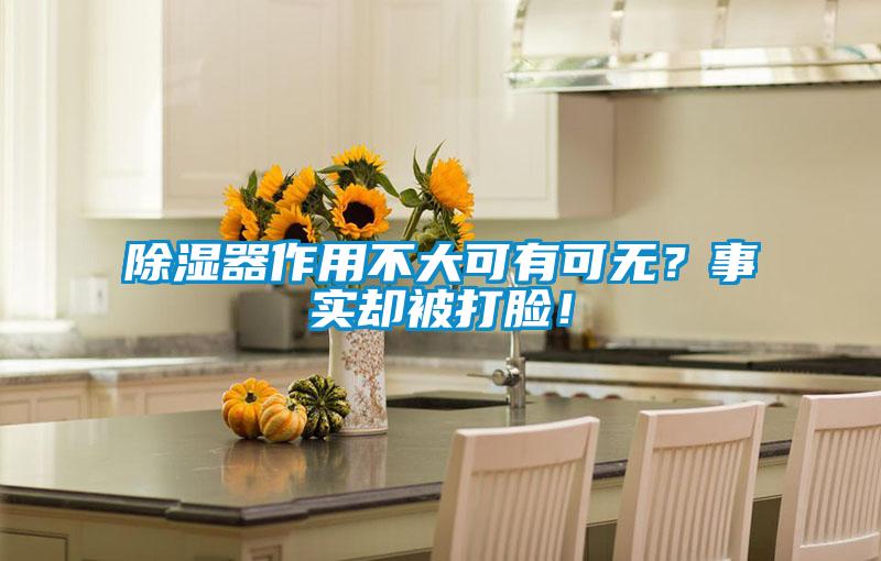 除湿器作用不大可有可无？事实却被打脸！