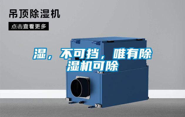 湿，不可挡，唯有除湿机可除