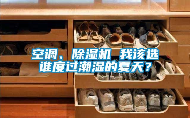 空調(diào)、除濕機(jī) 我該選誰(shuí)度過(guò)潮濕的夏天？