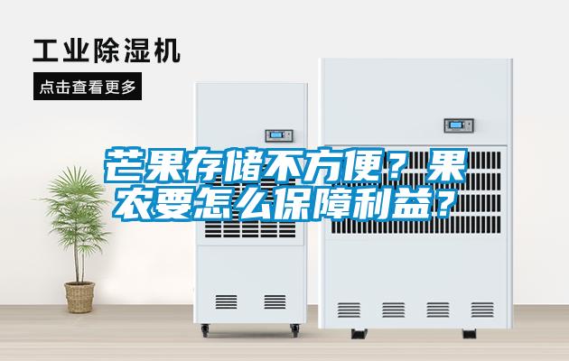芒果存储不方便？果农要怎么保障利益？