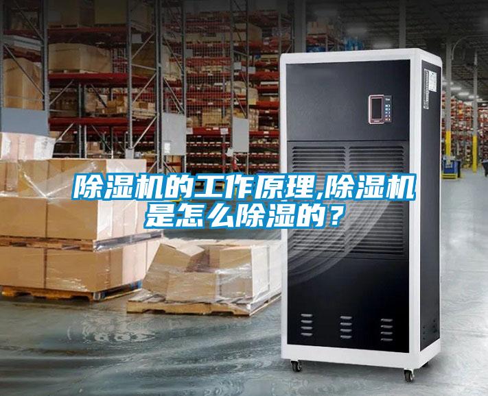 除湿机的工作原理,除湿机是怎么除湿的？