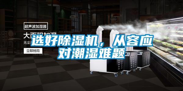 选好除湿机，从容应对潮湿难题