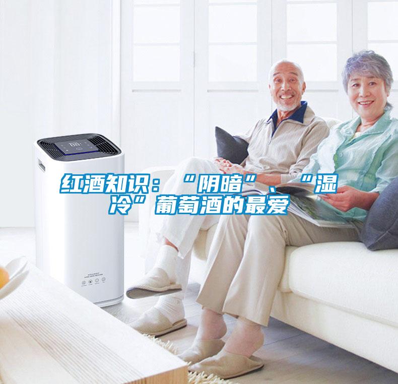紅酒知識(shí)：“陰暗”、“濕冷”葡萄酒的最愛(ài)