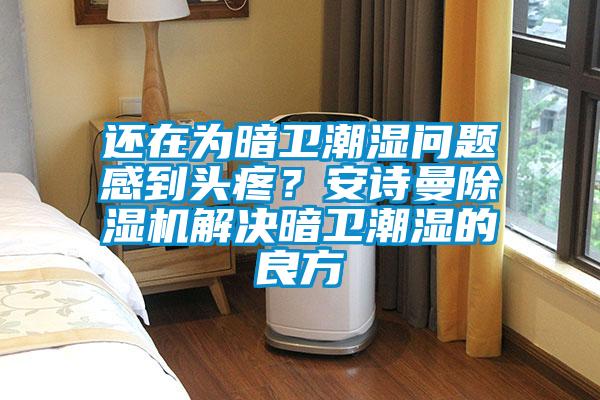 还在为暗卫潮湿问题感到头疼？安诗曼除湿机解决暗卫潮湿的良方