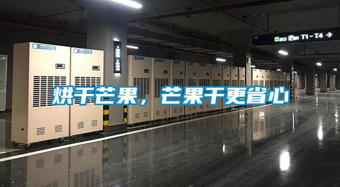 烘干芒果，芒果干更省心