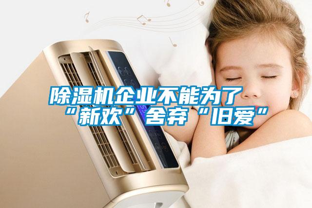 除湿机企业不能为了“新欢”舍弃“旧爱”