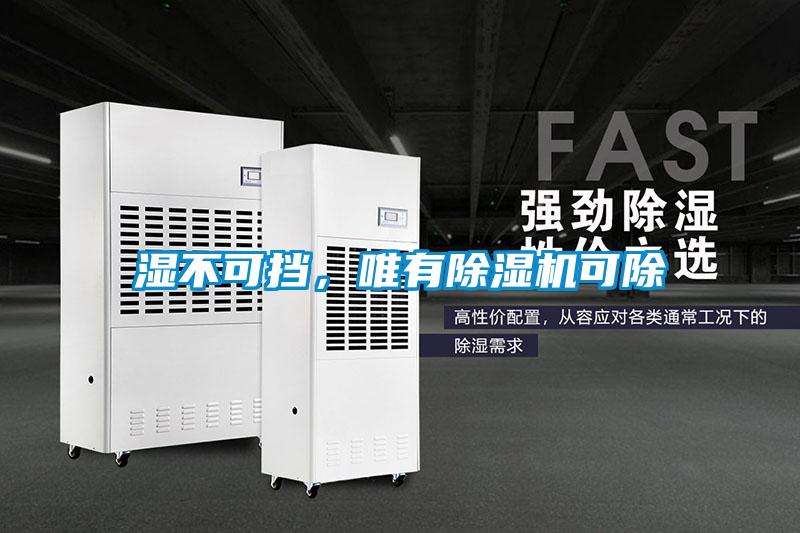 湿不可挡，唯有除湿机可除