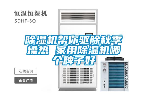 除湿机帮你驱除秋季燥热 家用除湿机哪个牌子好