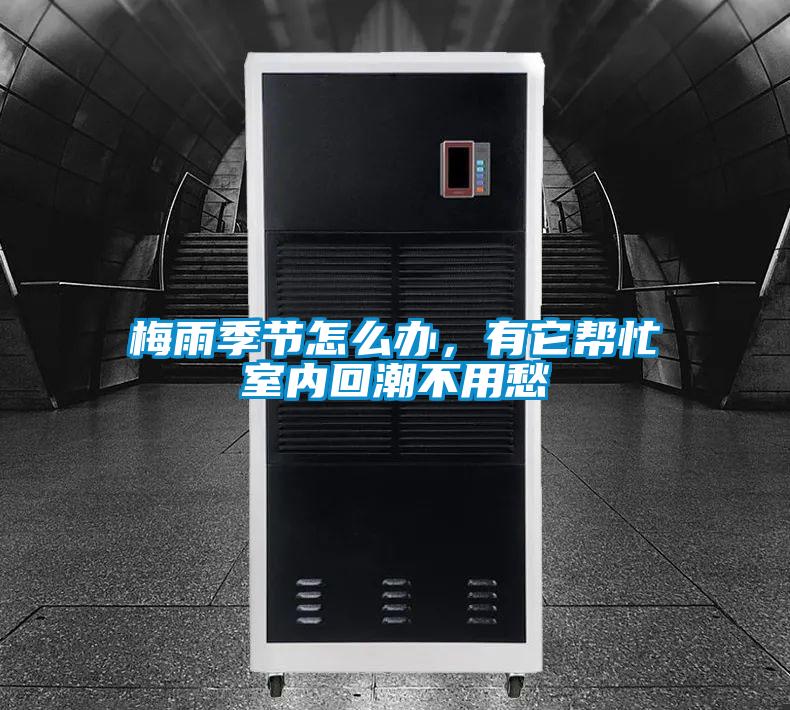 梅雨季节怎么办，有它帮忙室内回潮不用愁