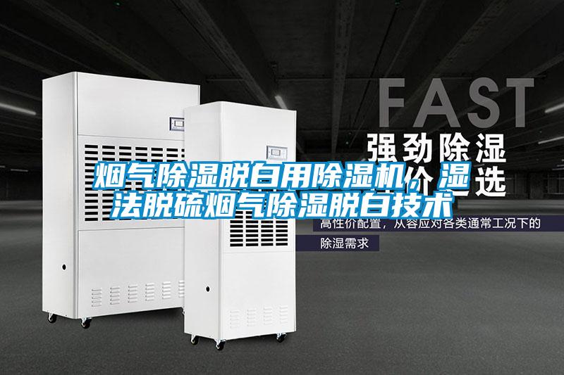 烟气除湿脱白用除湿机，湿法脱硫烟气除湿脱白技术