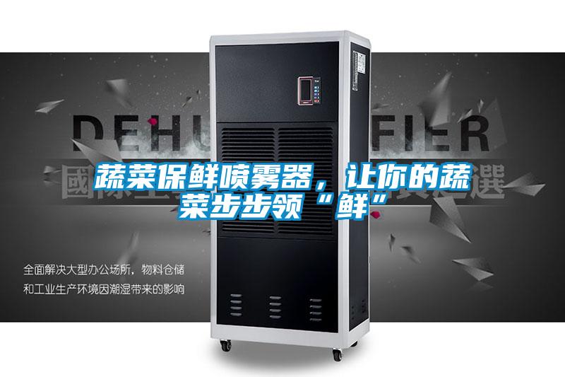 蔬菜保鲜喷雾器，让你的蔬菜步步领“鲜”