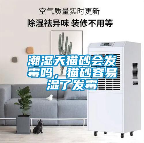 潮湿天猫砂会发霉吗，猫砂容易湿了发霉