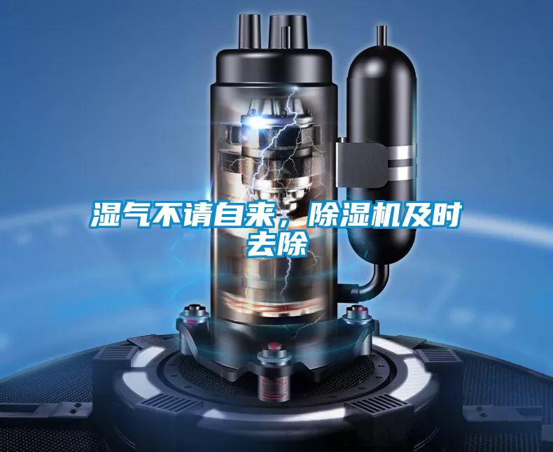 湿气不请自来，除湿机及时去除