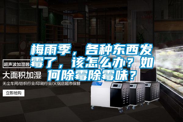 梅雨季，各种东西发霉了，该怎么办？如何除霉除霉味？