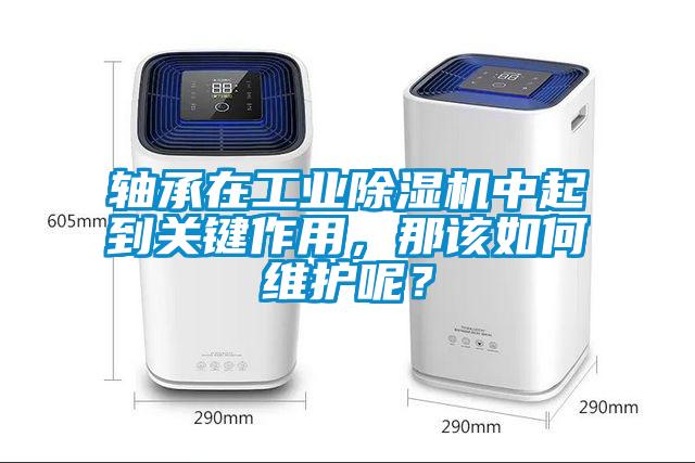 轴承在工业除湿机中起到关键作用，那该如何维护呢？