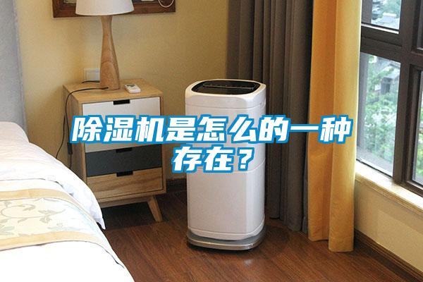 除湿机是怎么的一种存在？